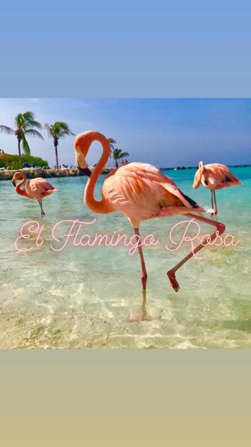 Casa Vacanze El Flamingo Rosa Cod Iun P5386 Iglesias Exterior foto